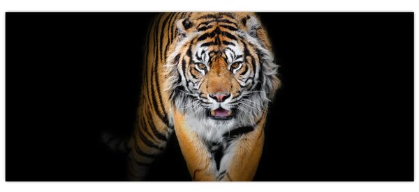 Tablou - Tiger (120x50 cm)