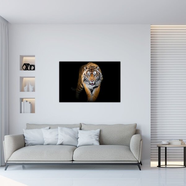 Tablou - Tiger (90x60 cm)
