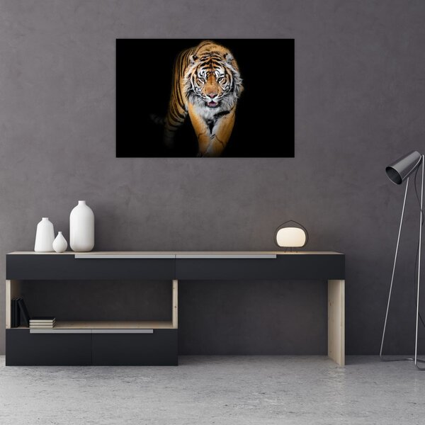 Tablou - Tiger (90x60 cm)