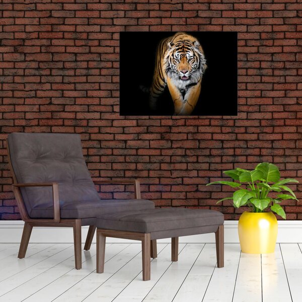 Tablou - Tiger (70x50 cm)