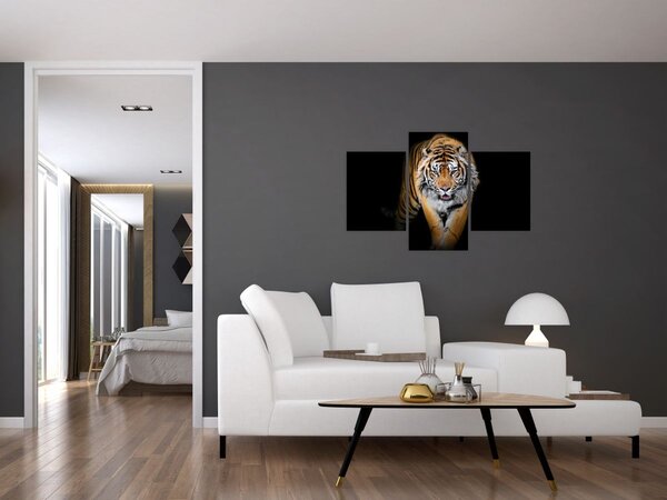 Tablou - Tiger (90x60 cm)