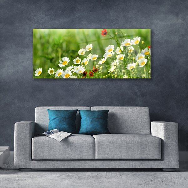 Tablou pe sticla Daisy Natura Galben Alb