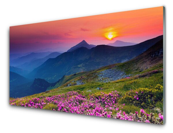 Panou sticla bucatarie Muntii Meadow Flori Peisaj Galben Albastru Verde Roz