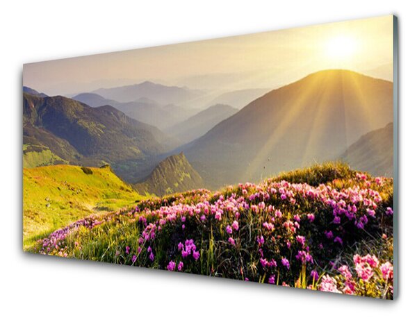 Panou sticla bucatarie Mountain Meadow Peisaj Verde Roz Gri
