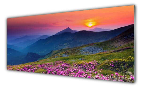 Panou sticla bucatarie Muntii Meadow Flori Peisaj Galben Albastru Verde Roz