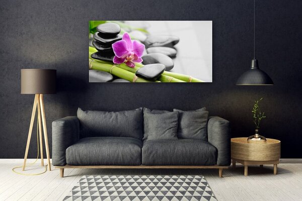 Tablou pe sticla Bamboo Tube flori Stones Arta Verde Roz Negru