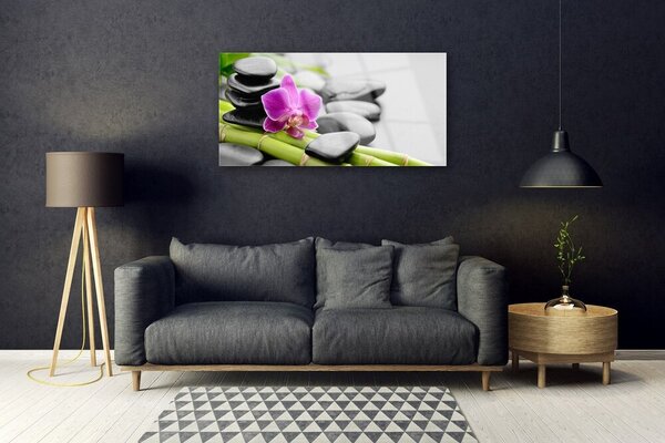 Tablou pe sticla Bamboo Tube flori Stones Arta Verde Roz Negru