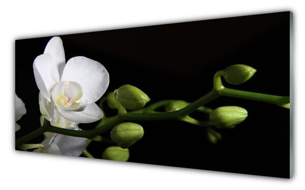 Tablou pe sticla Florale flori albe