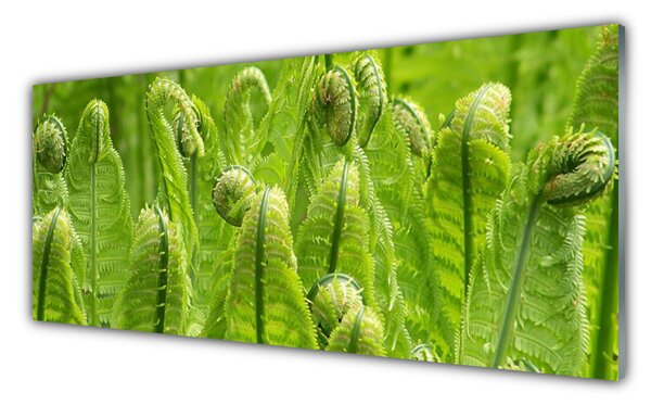 Tablou pe sticla Plante Floral Verde