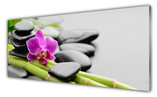 Tablou pe sticla Bamboo Tube flori Stones Arta Verde Roz Negru