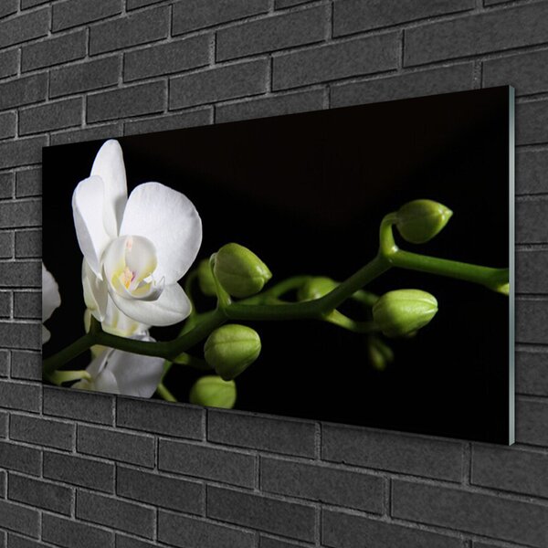 Tablou pe sticla Florale flori albe
