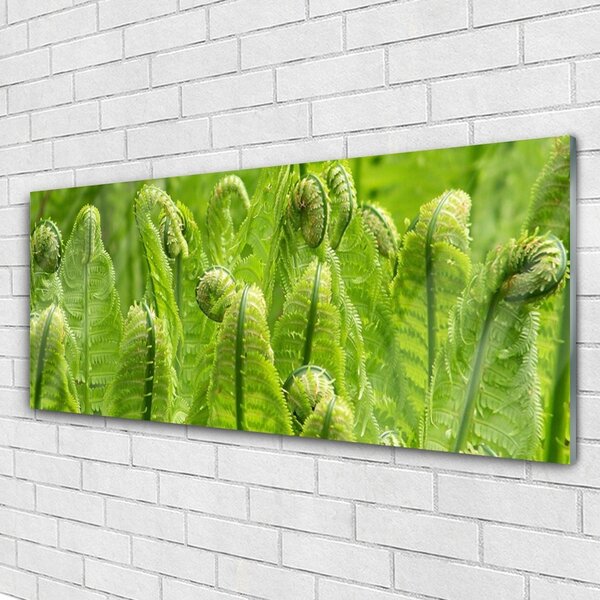 Tablou pe sticla Plante Floral Verde