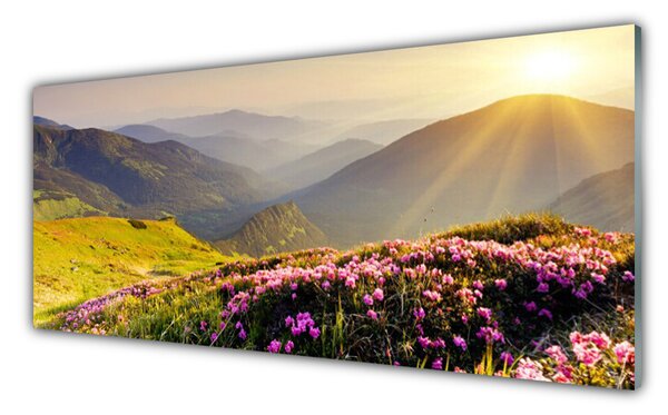 Panou sticla bucatarie Mountain Meadow Peisaj Verde Roz Gri
