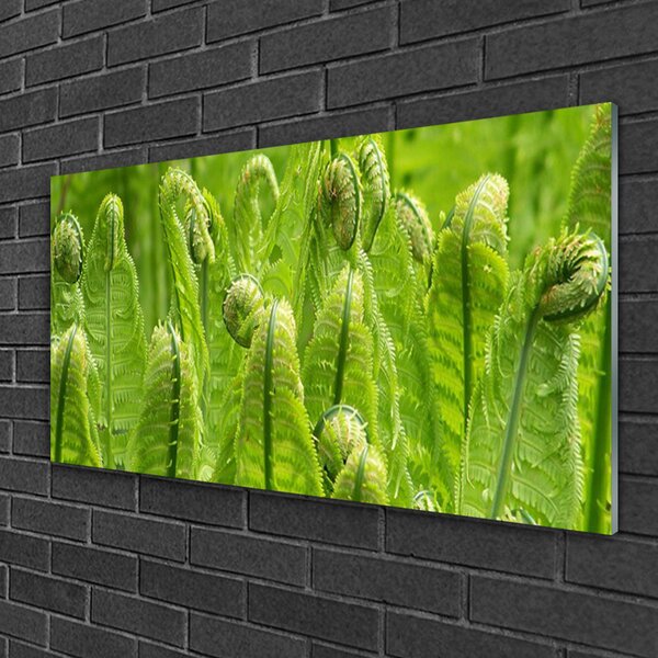 Tablou pe sticla Plante Floral Verde