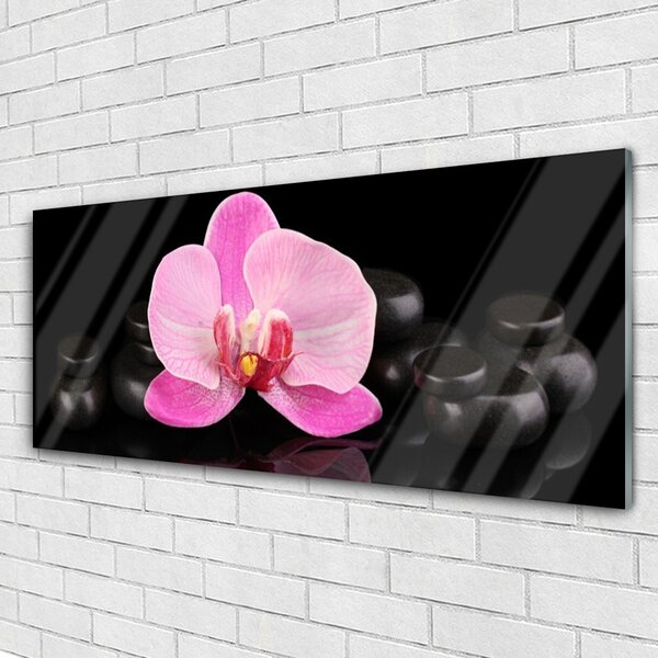 Tablouri acrilice Pietrele florale flori roz negru