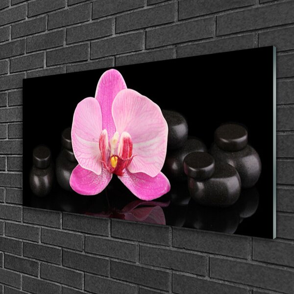 Tablouri acrilice Pietrele florale flori roz negru