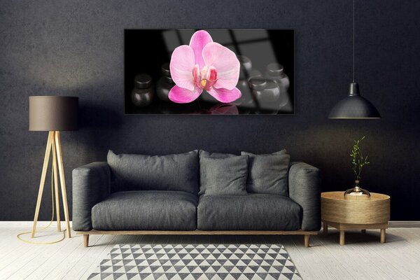 Tablouri acrilice Pietrele florale flori roz negru