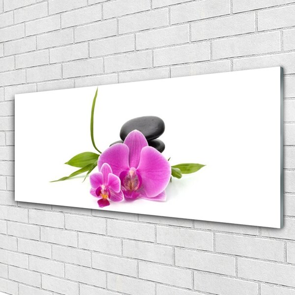 Tablou pe sticla Pietrele florale flori roz negru