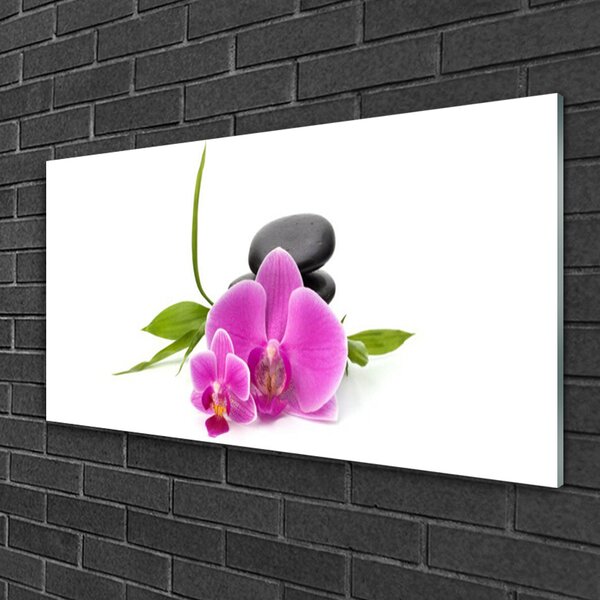 Tablou pe sticla Pietrele florale flori roz negru