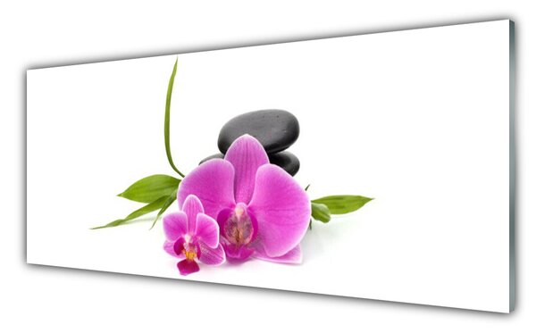 Tablou pe sticla Pietrele florale flori roz negru