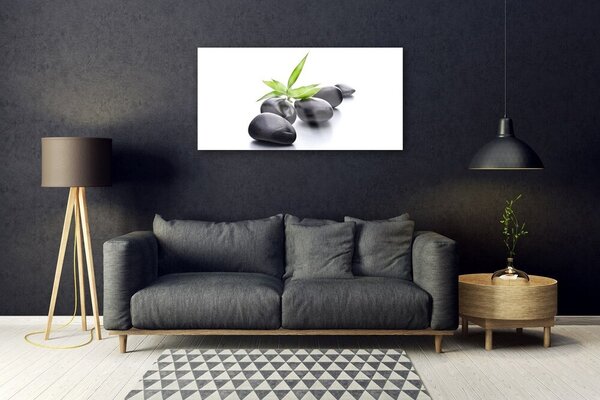 Tablou pe sticla Pietre Art negru