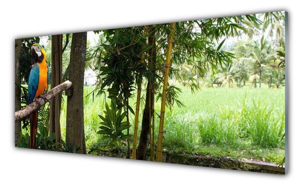 Tablou pe sticla Parrot Copaci Natura Albastru Galben Maro Verde