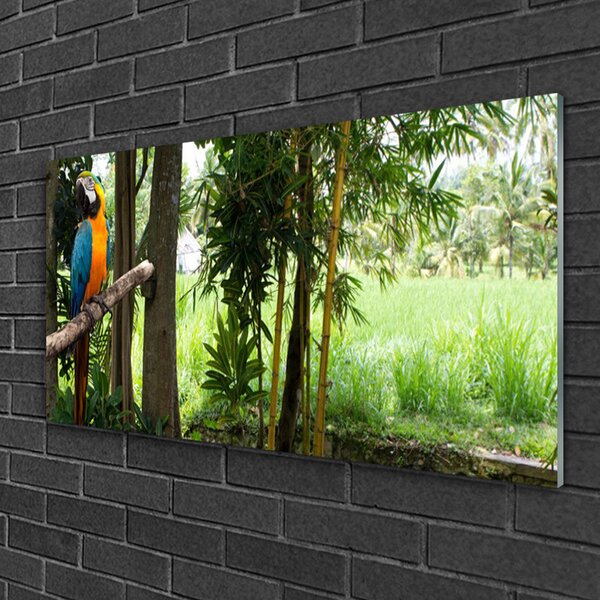 Tablou pe sticla Parrot Copaci Natura Albastru Galben Maro Verde