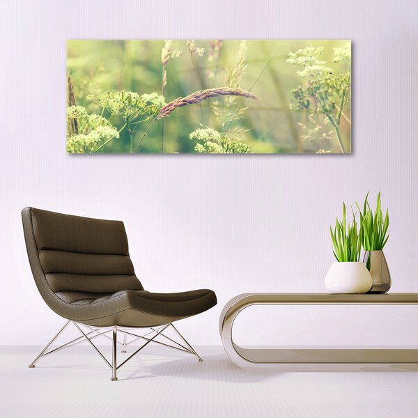 Tablou pe sticla Plante sălbatice Floral Alb Verde Brun
