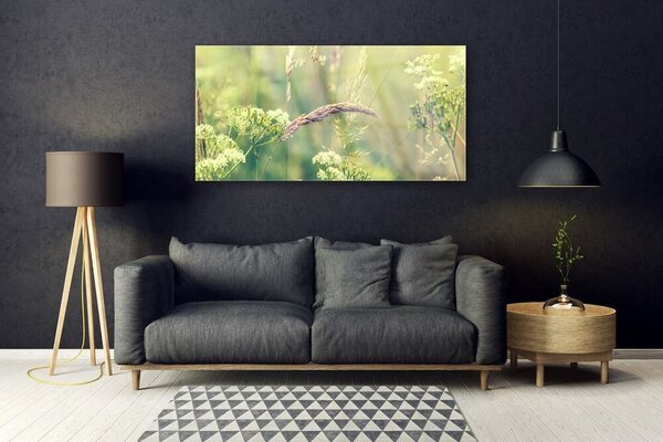 Tablou pe sticla Plante sălbatice Floral Alb Verde Brun