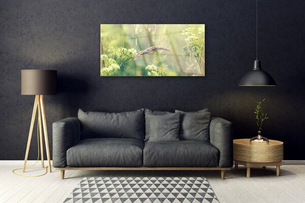 Tablou pe sticla Plante sălbatice Floral Alb Verde Brun