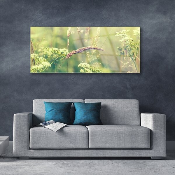 Tablou pe sticla Plante sălbatice Floral Alb Verde Brun