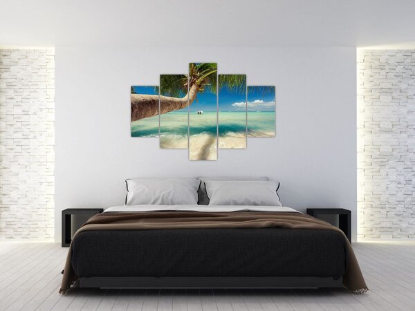 Tablou - Mare curată cu palmier (150x105 cm)