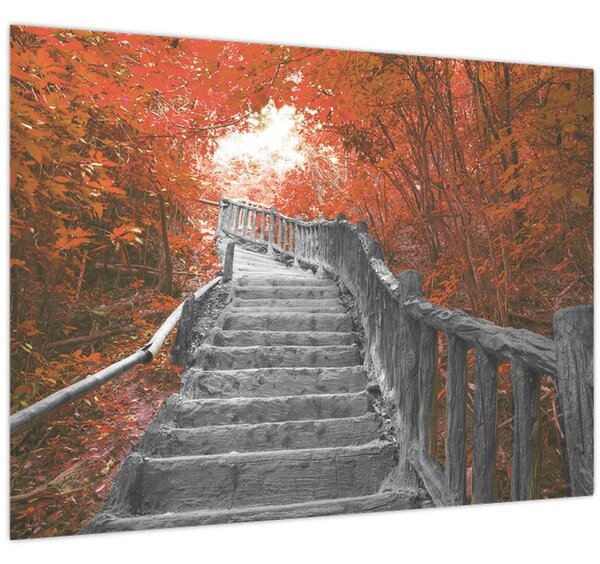 Tablou - Scări în natură, portocaliu (70x50 cm)