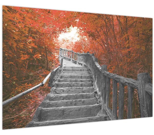Tablou - Scări în natură, portocaliu (90x60 cm)