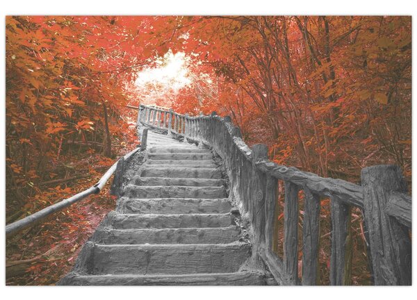 Tablou - Scări în natură, portocaliu (90x60 cm)