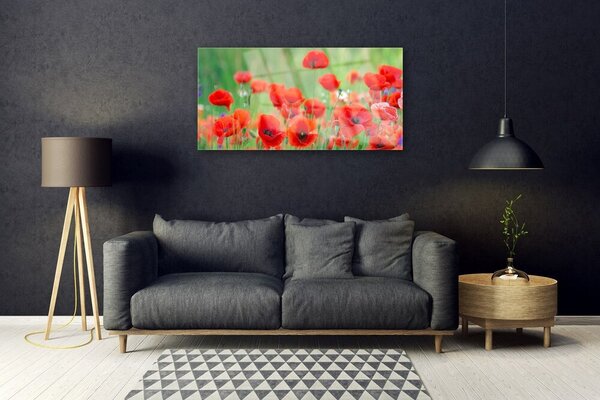 Tablou pe sticla Maci Floral Rosu Negru