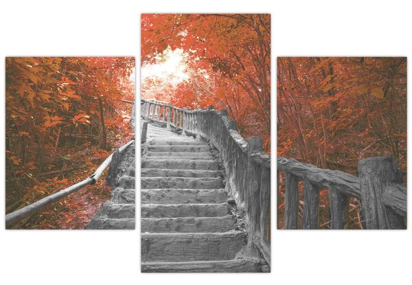 Tablou - Scări în natură, portocaliu (90x60 cm)