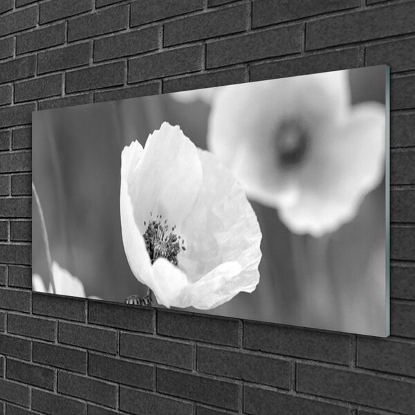 Tablou pe sticla Maci Floral Gray