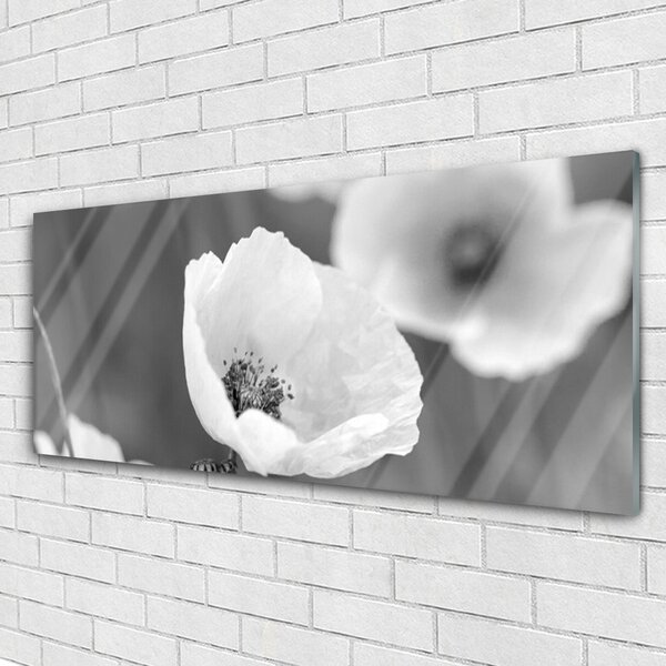 Tablou pe sticla Maci Floral Gray
