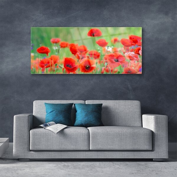 Tablou pe sticla Maci Floral Rosu Negru