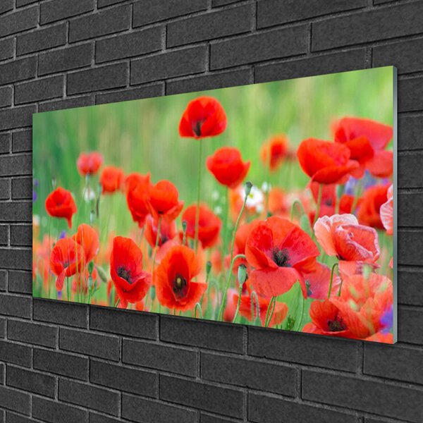 Tablou pe sticla Maci Floral Rosu Negru