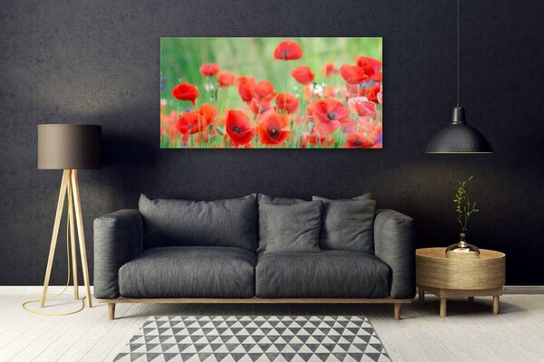 Tablou pe sticla Maci Floral Rosu Negru