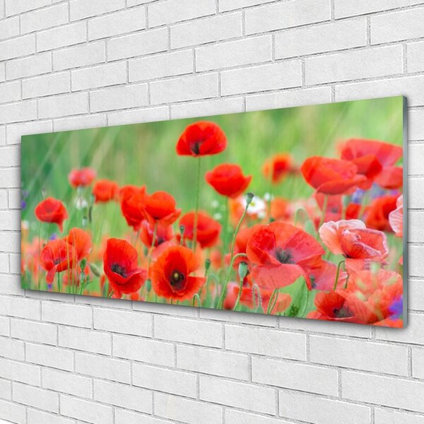 Tablou pe sticla Maci Floral Rosu Negru