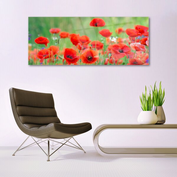 Tablou pe sticla Maci Floral Rosu Negru