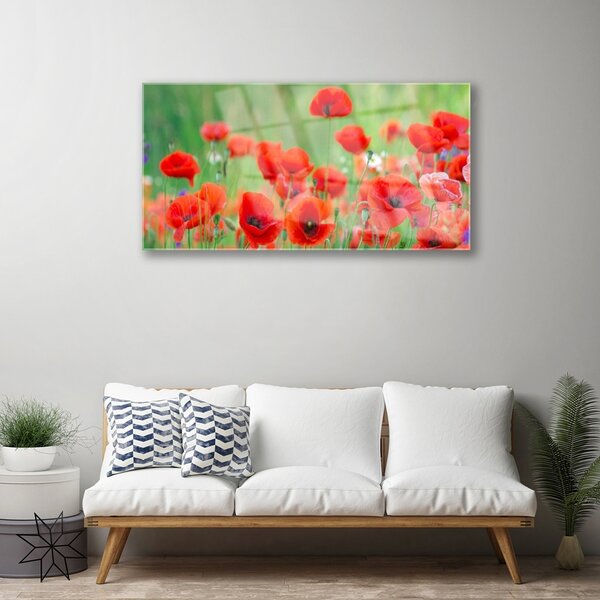 Tablou pe sticla Maci Floral Rosu Negru