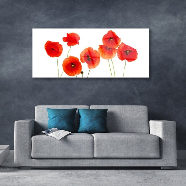 Tablou pe sticla Maci Floral Rosu Negru
