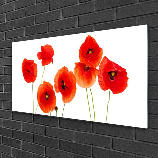 Tablou pe sticla Maci Floral Rosu Negru
