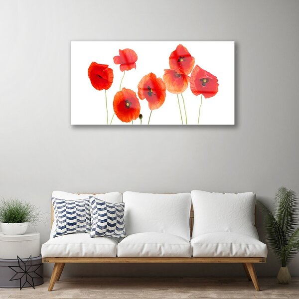 Tablou pe sticla Maci Floral Rosu Negru