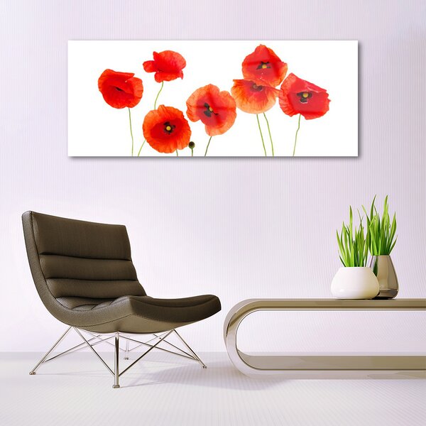 Tablou pe sticla Maci Floral Rosu Negru