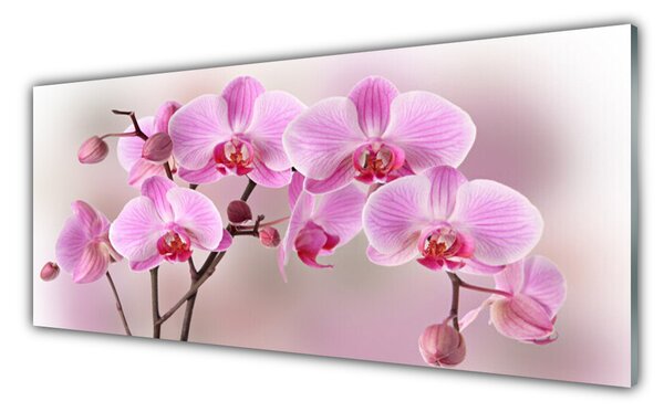 Tablou pe sticla Flori roz Floral